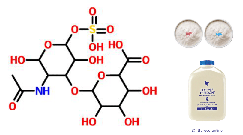 Hondroitin sulfat